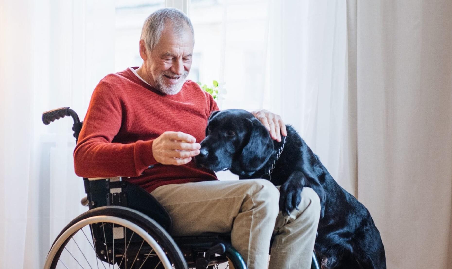 Afbeelding van een lachende oudere man in rolstoel, met een hond die zijn schoot op reikt