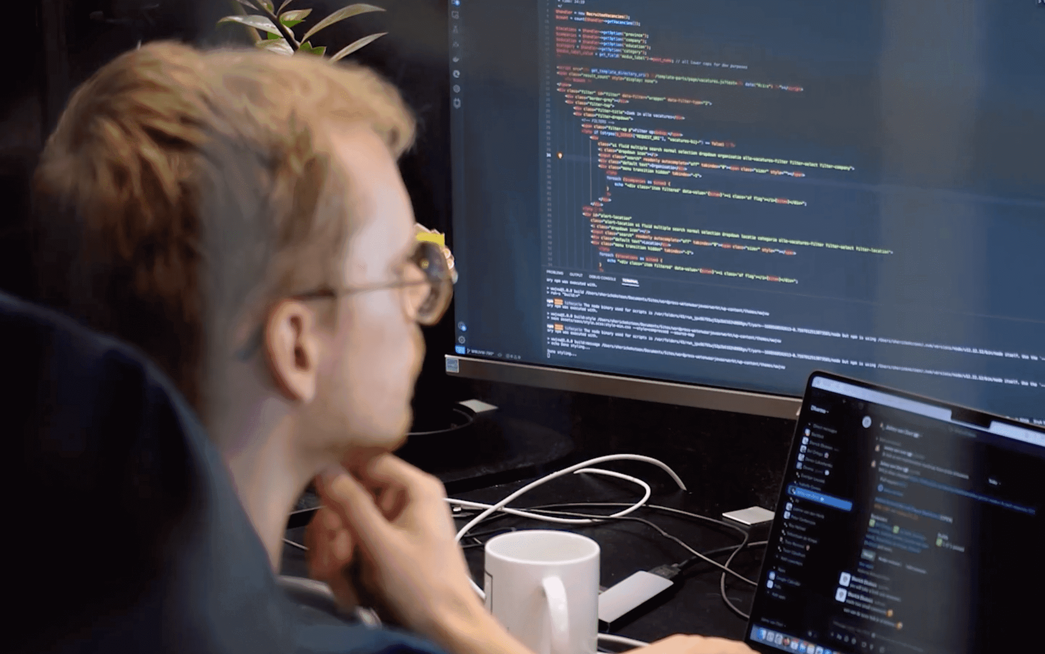Software developer